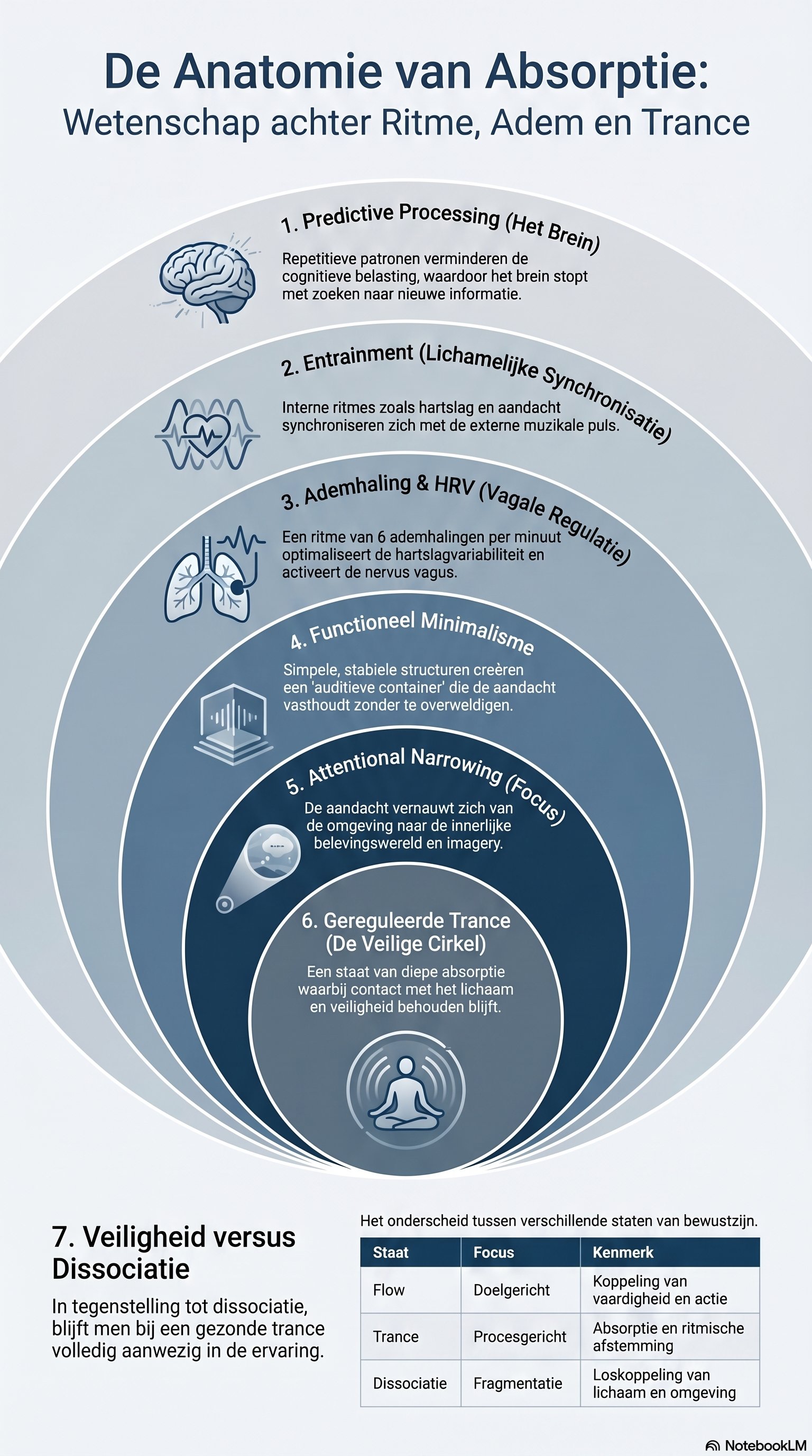 De Anatomie van Absorptie — infographic